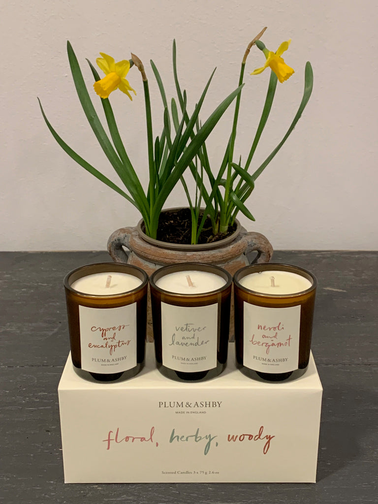 Plum & Ashby Votive Candle Sets