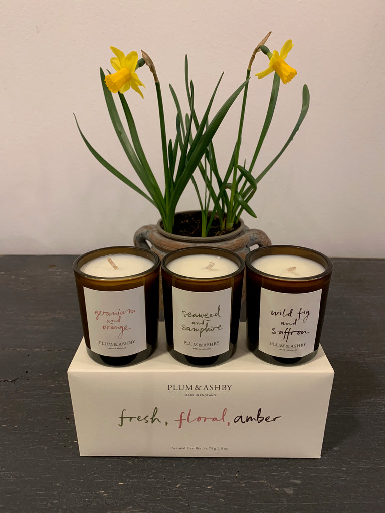 Plum & Ashby Votive Candle Sets