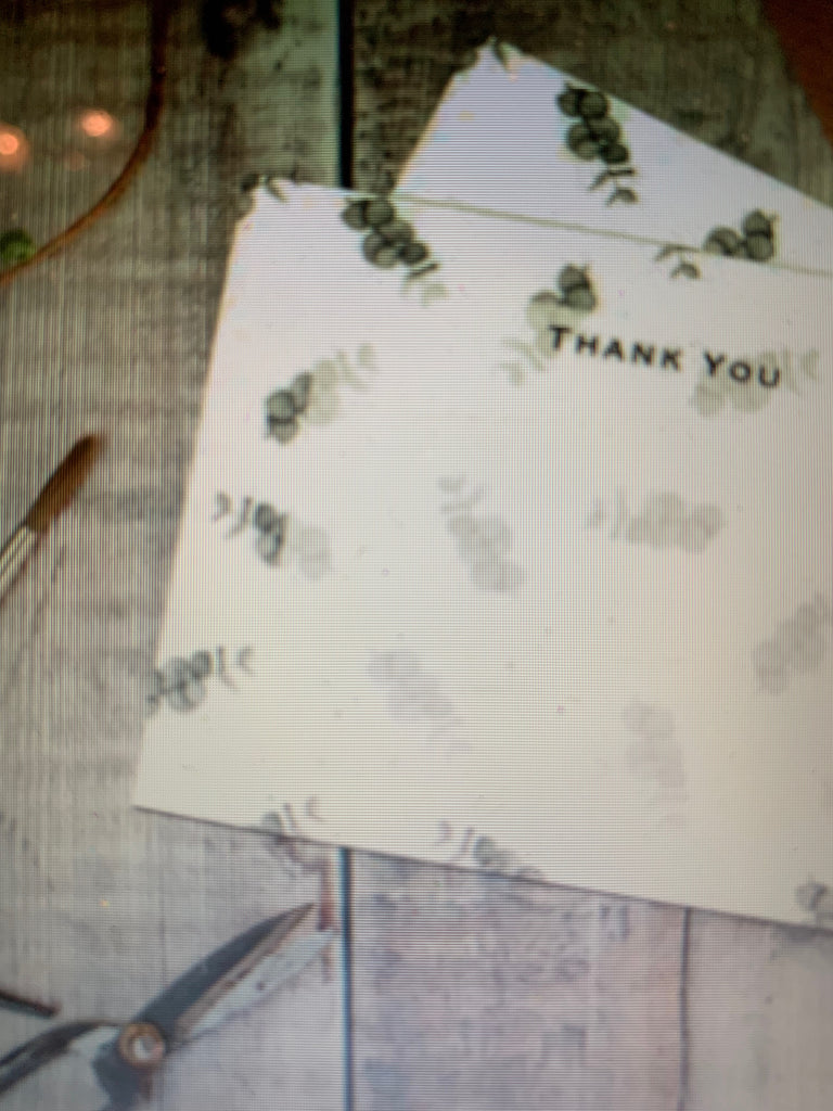 Toasted Crumpet Thank You Cards - Set of 6